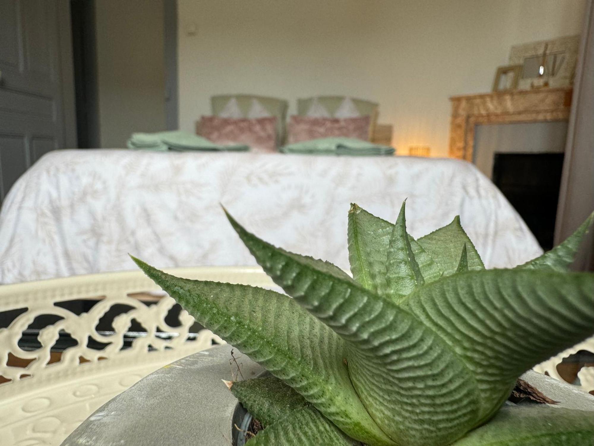 Apartment La Viarhona A Brégnier-Cordon エクステリア 写真