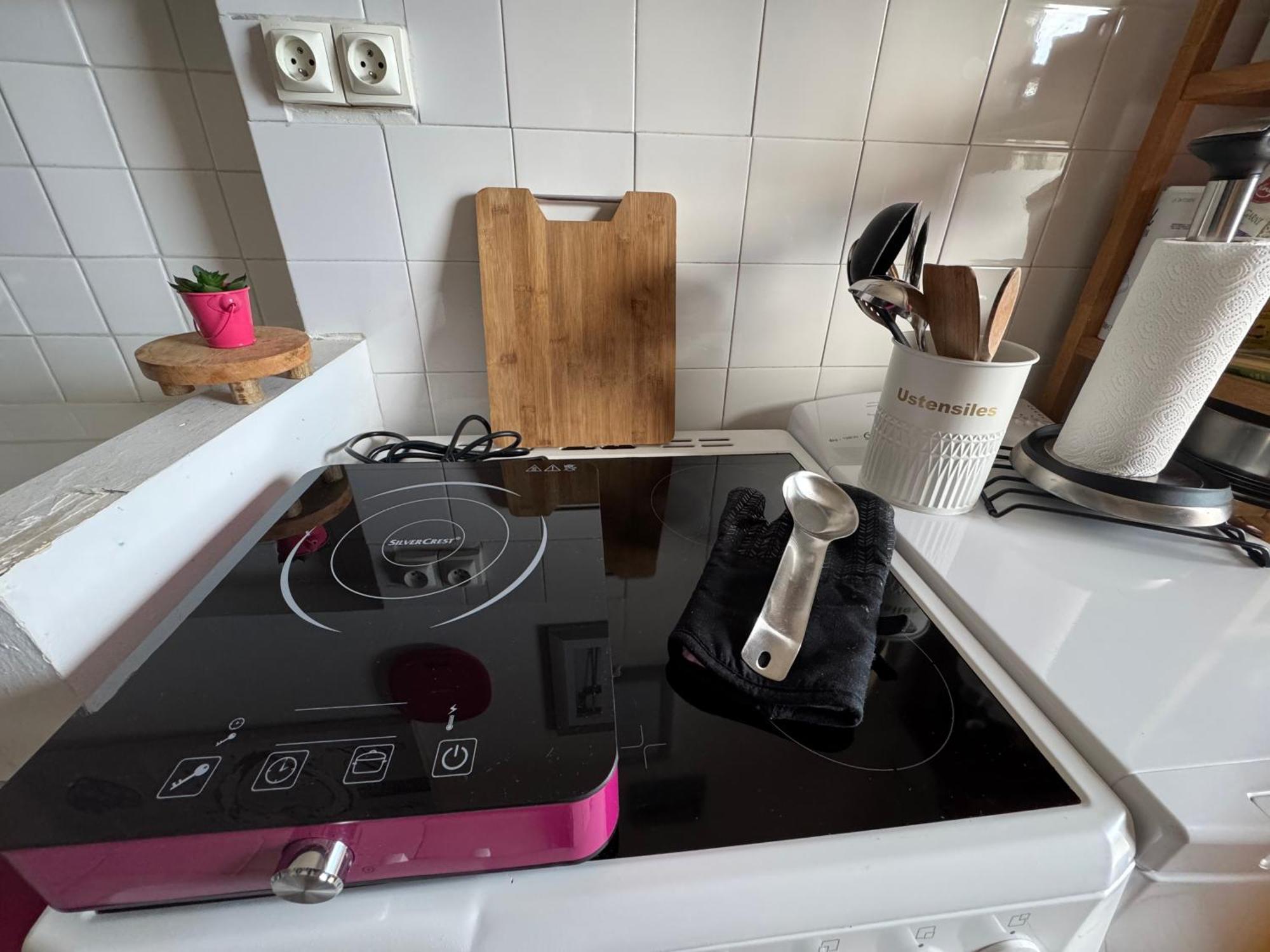 Apartment La Viarhona A Brégnier-Cordon エクステリア 写真